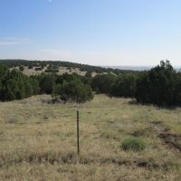 59 Filing 4 Silver Spurs Ranch