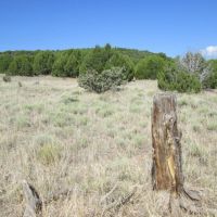 59 Filing 4 Silver Spurs Ranch images 2