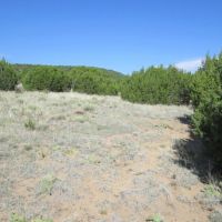 59 Filing 4 Silver Spurs Ranch images 6