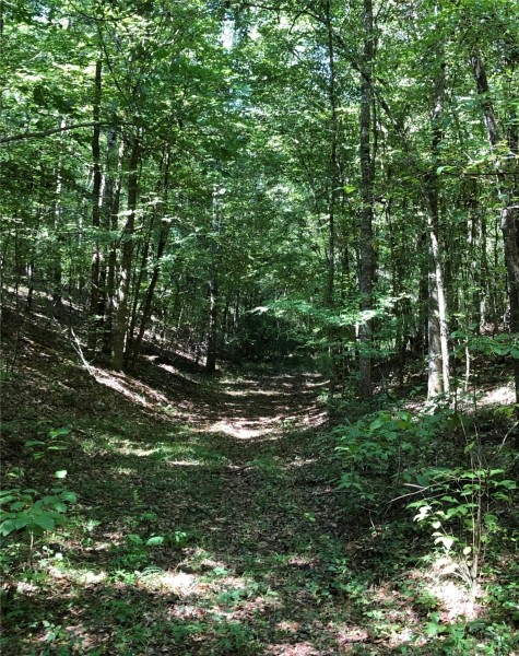 135 Acres in Lincoln County in Brookhaven  MS featured image