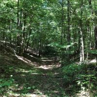 135 Acres in Lincoln County in Brookhaven  MS