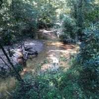 135 Acres in Lincoln County in Brookhaven  MS images 5