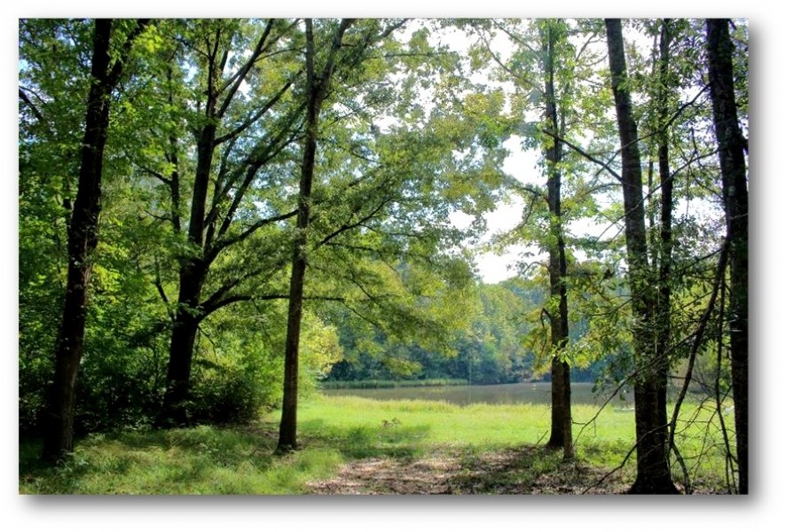 48.6 Acres in Hinds County in Jackson  MS featured image