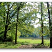48.6 Acres in Hinds County in Jackson  MS
