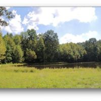 48.6 Acres in Hinds County in Jackson  MS images 3