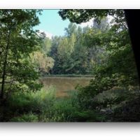 48.6 Acres in Hinds County in Jackson  MS images 4