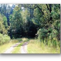 48.6 Acres in Hinds County in Jackson  MS images 5
