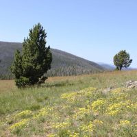 Hoodoo Creek Mountain Retreat images 2