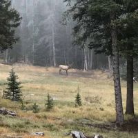 Hoodoo Creek Mountain Retreat images 3