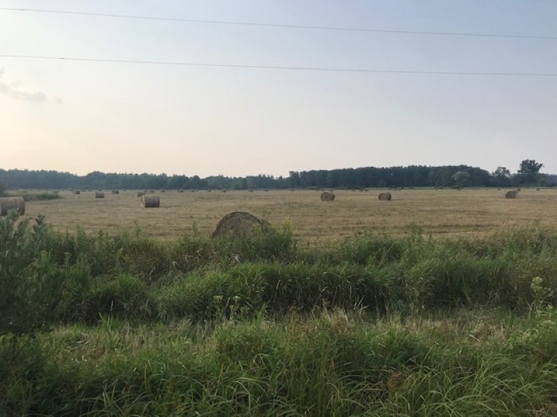 Actively Farmed 38.88 Acre Parcel in Clark County featured image