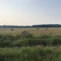 Actively Farmed 38.88 Acre Parcel in Clark County