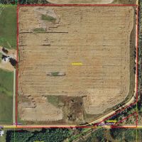 Actively Farmed 38.88 Acre Parcel in Clark County images 3