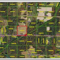 Actively Farmed 38.88 Acre Parcel in Clark County images 4