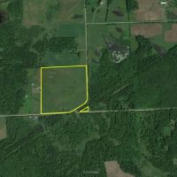 Actively Farmed 38.88 Acre Parcel in Clark County images 5