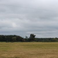 Actively Farmed 38.88 Acre Parcel in Clark County images 6