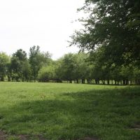 Wafer Creek 745 images 2
