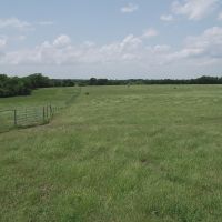 Wafer Creek 745 images 4
