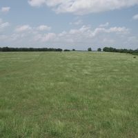 Wafer Creek 745 images 5