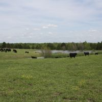 Wafer Creek 745 images 6