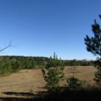 52 Acres in Jefferson Davis County in Prentiss  MS