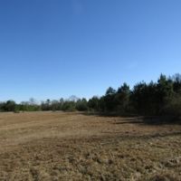 52 Acres in Jefferson Davis County in Prentiss  MS images 2