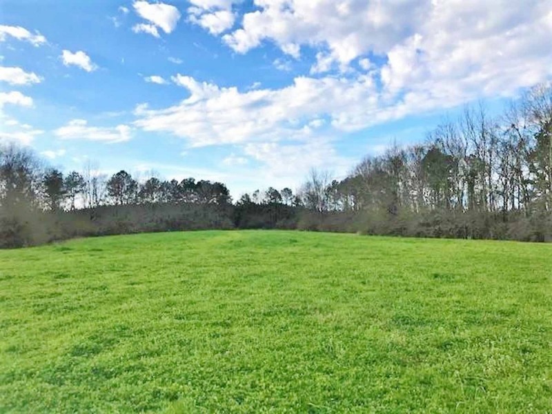 162.7 Acre Hunting and Timber Investment Copiah County  MS featured image