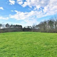 162.7 Acre Hunting and Timber Investment Copiah County  MS