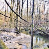 162.7 Acre Hunting and Timber Investment Copiah County  MS images 2