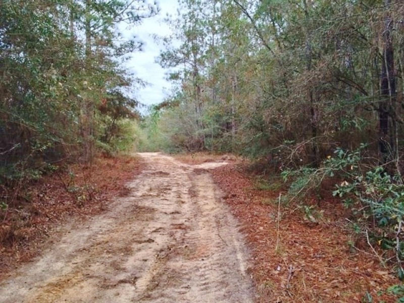 82 &nbsp; - Acres Land for Sale Saucier  Harrison County  MS featured image
