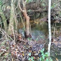 82 &nbsp; - Acres Land for Sale Saucier  Harrison County  MS images 3