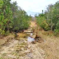 82 &nbsp; - Acres Land for Sale Saucier  Harrison County  MS images 4