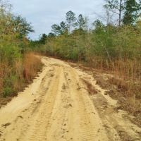 82 &nbsp; - Acres Land for Sale Saucier  Harrison County  MS images 5