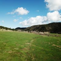 150 acre Vigil Ranch images 6