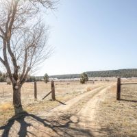 21895 CR 50.9 Aguilar  CO images 2
