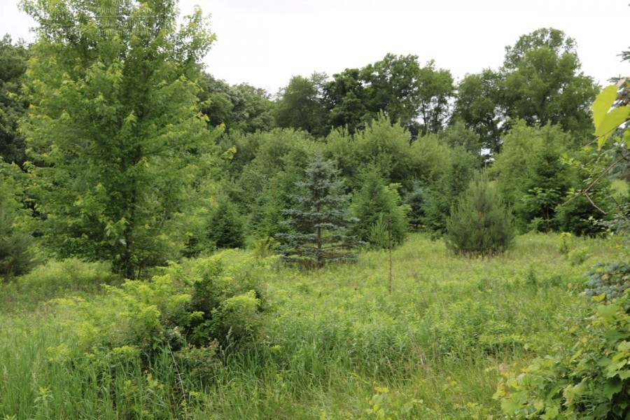 Hunting and Building your Dream Home in Dodge County featured image