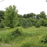 Hunting and Building your Dream Home in Dodge County images 2