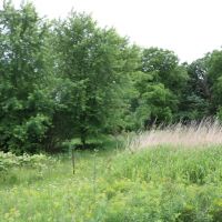Hunting and Building your Dream Home in Dodge County images 3