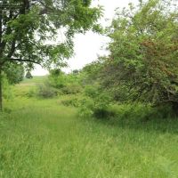 Hunting and Building your Dream Home in Dodge County images 4