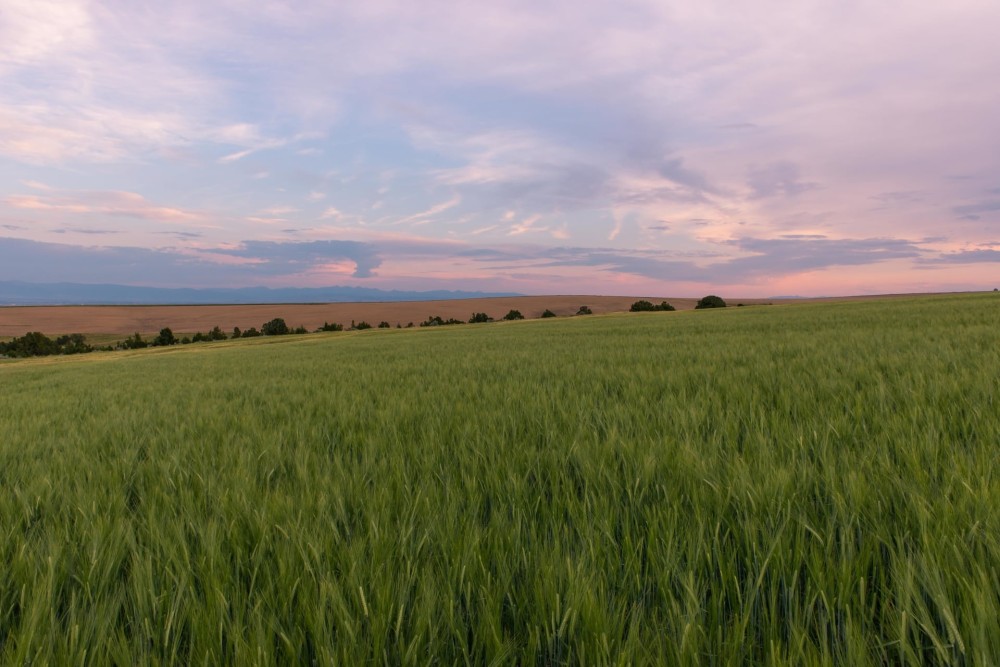 Lot 8A at Hamilton Sporting Reserve featured image