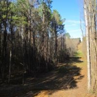 105 Acres in Tippah and Union County in Blue Mountain  MS