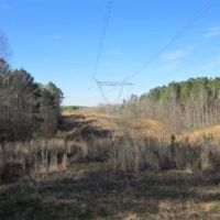 105 Acres in Tippah and Union County in Blue Mountain  MS images 3