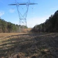 105 Acres in Tippah and Union County in Blue Mountain  MS images 5