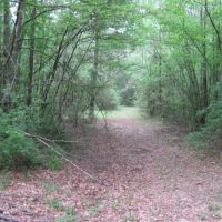 8024 Magnolia-Holmesville Rd. McComb  Ms. 39648 images 5