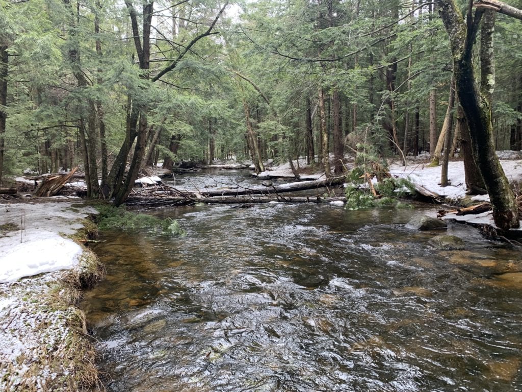 93 acres in Providence NY near the Great Sacandaga Lake Fishing