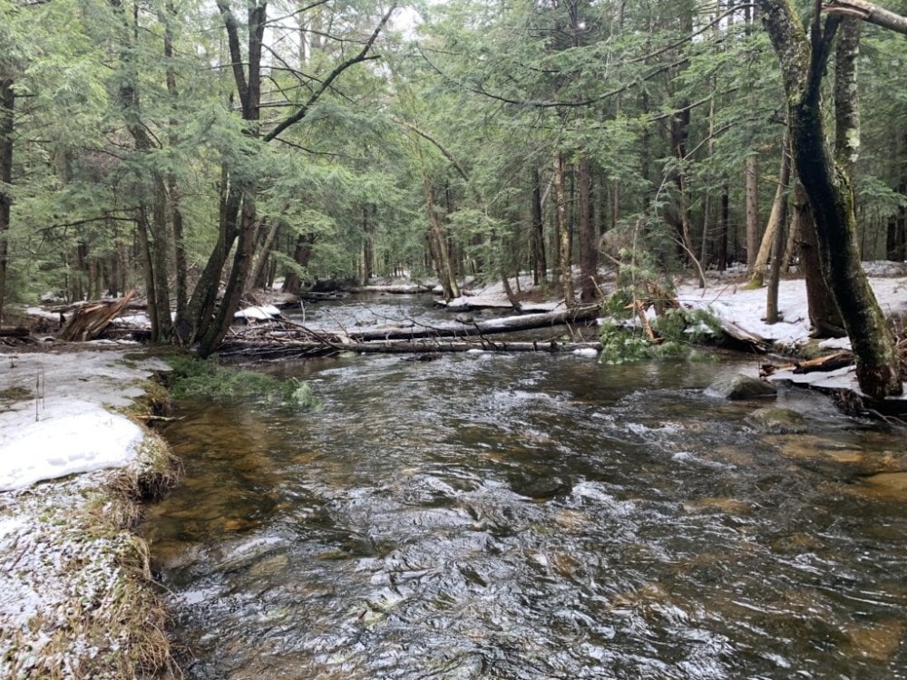 93 acres in Providence NY near the Great Sacandaga Lake Fishing Hunting Land for Sale