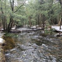 93 acres in Providence NY near the Great Sacandaga Lake Fishing