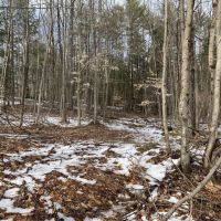 93 acres in Providence NY near the Great Sacandaga Lake Fishing images 6