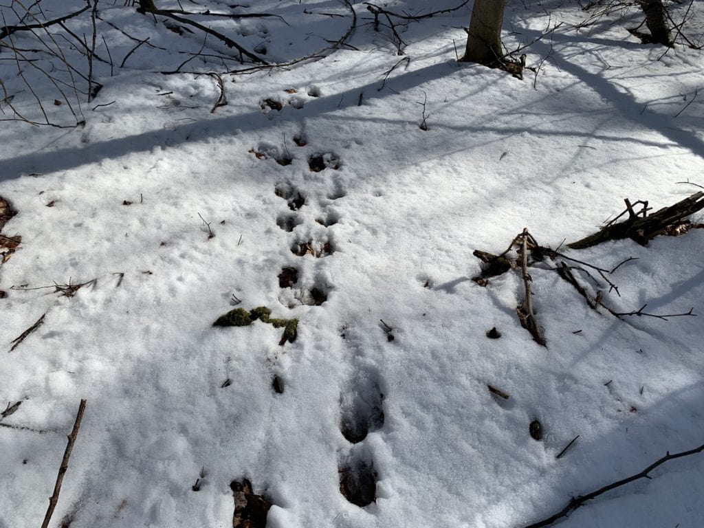 93 acres in Providence NY near the Great Sacandaga Lake Fishing