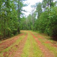 Wolfskin Tract - Loaded with Pine images 2