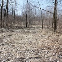 Hunting Recreational Property in Fond Du Lac County images 2